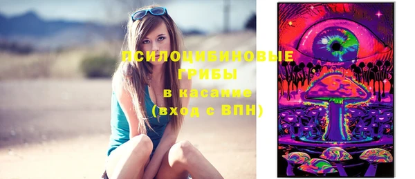 стаф Абаза