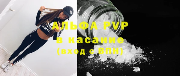 стаф Абаза