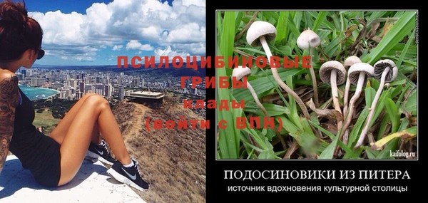дмт Абинск
