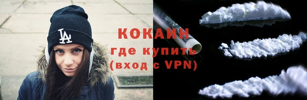 стаф Абаза