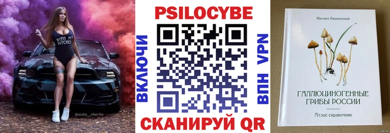 Псилоцибиновые грибы Psilocybe  сайты даркнета формула  Тольятти 