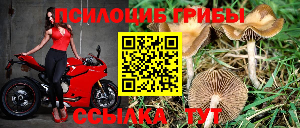 Тольятти  Псилоцибиновые грибы GOLDEN TEACHER  Вход с VPN  Галлюциногенные грибы Magic Shrooms 